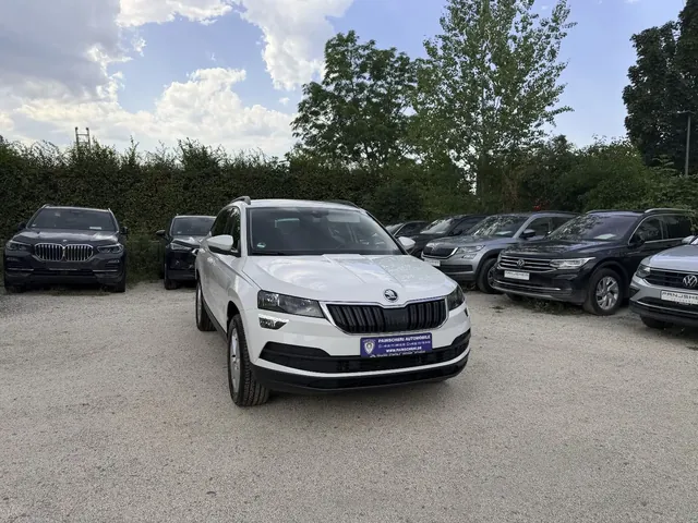 Skoda Karoq Ambition 4x4 2.0 TDI DSG